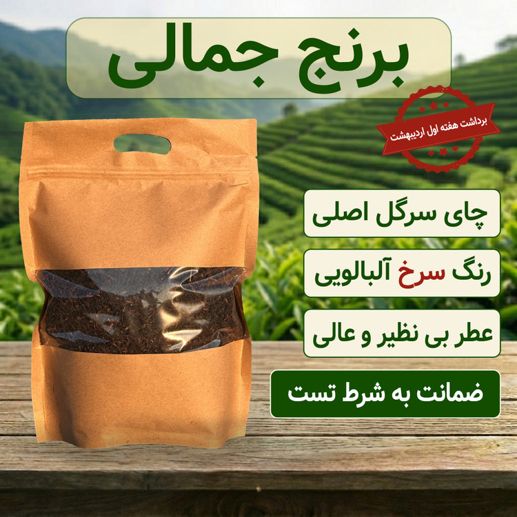 چای سرگل بهاره اصلی برداشت هفته اول اردیبهشت 1405