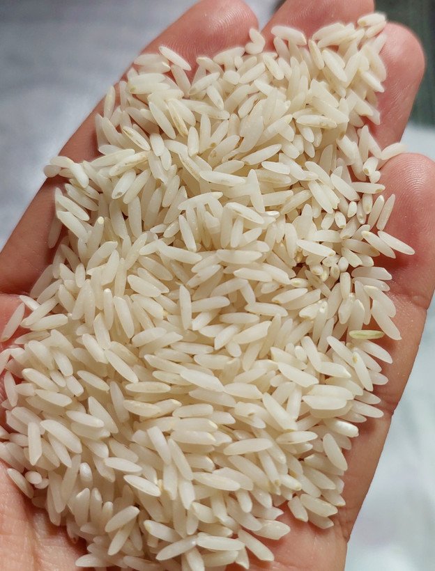 برنج طارم هاشمی فوق ممتاز تازه برداشت فریدونکنار ۱۰ کیلوگرم