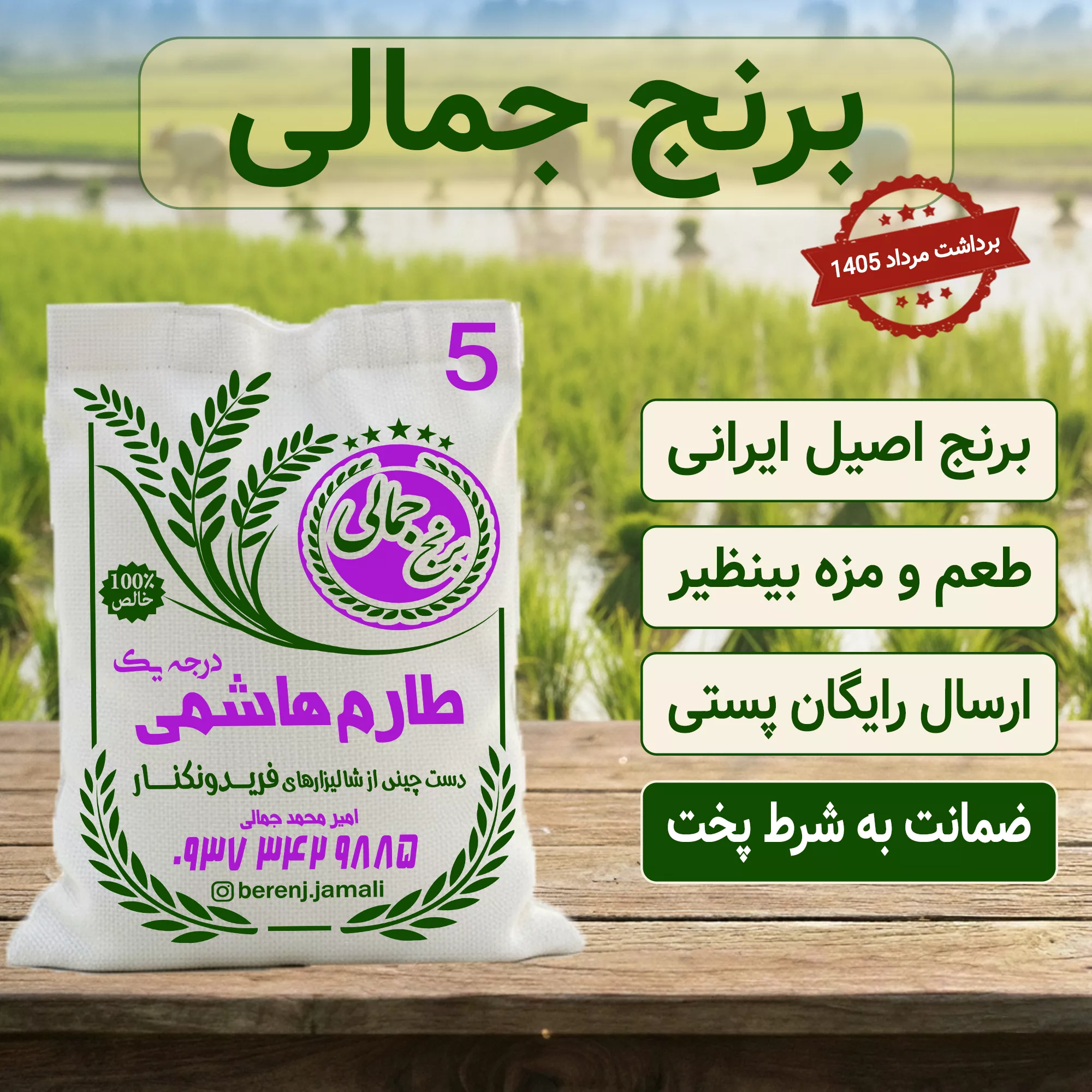 برنج طارم هاشمی فوق ممتاز تازه برداشت فریدونکنار 5 کیلوگرم