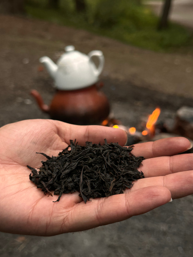 چای قلم درشت بهاره،برداشت هفته اول اردیبهشت،ارسال رایگان